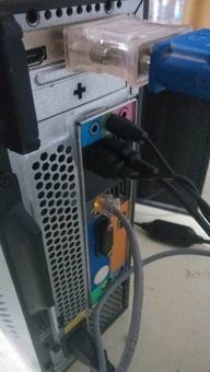 电脑橙色网线插口无法上网的排查指南